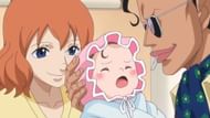 Oda did not intend to include Senor Pink's story (Image via Toei Animation)